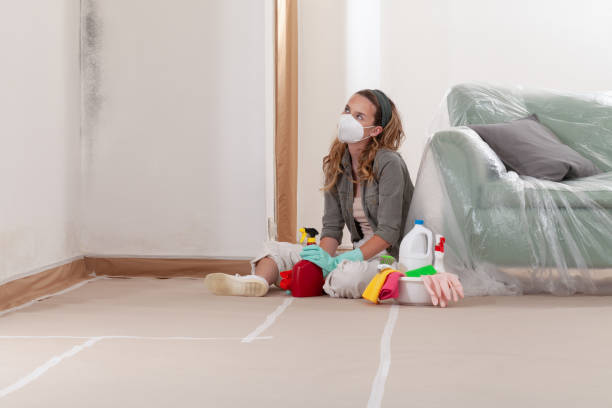 Reliable Bathroom Mold Removal contractor in Vine Grove, KY by 24 Hour Mold Removal